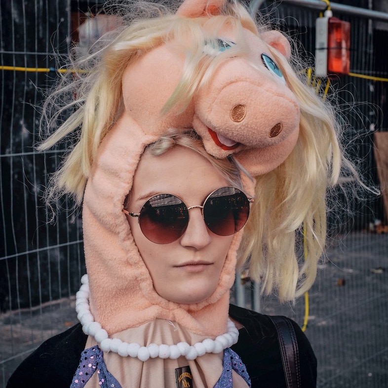 pig protest