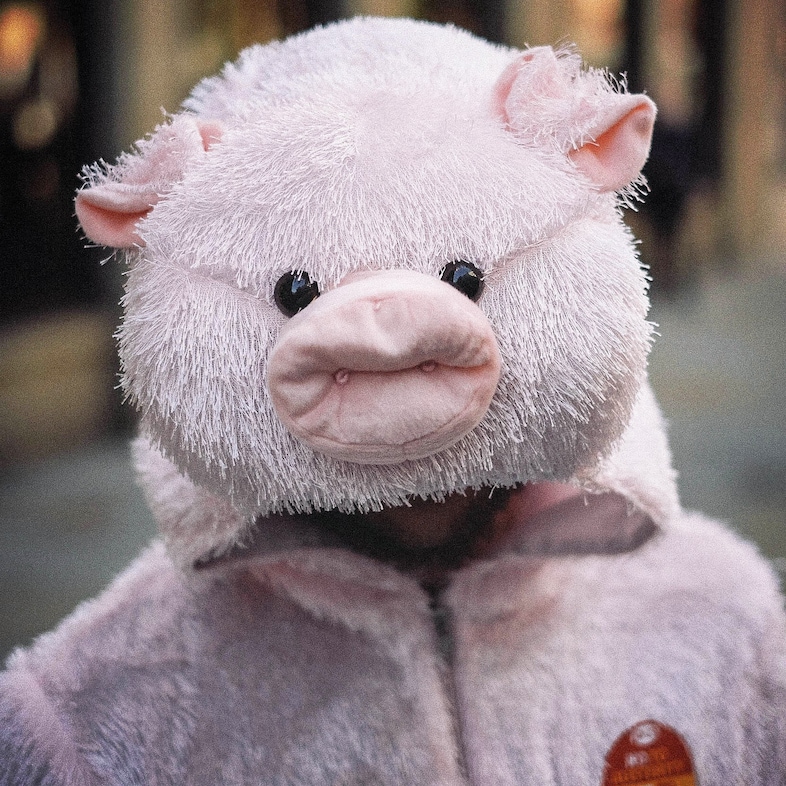 pig protest