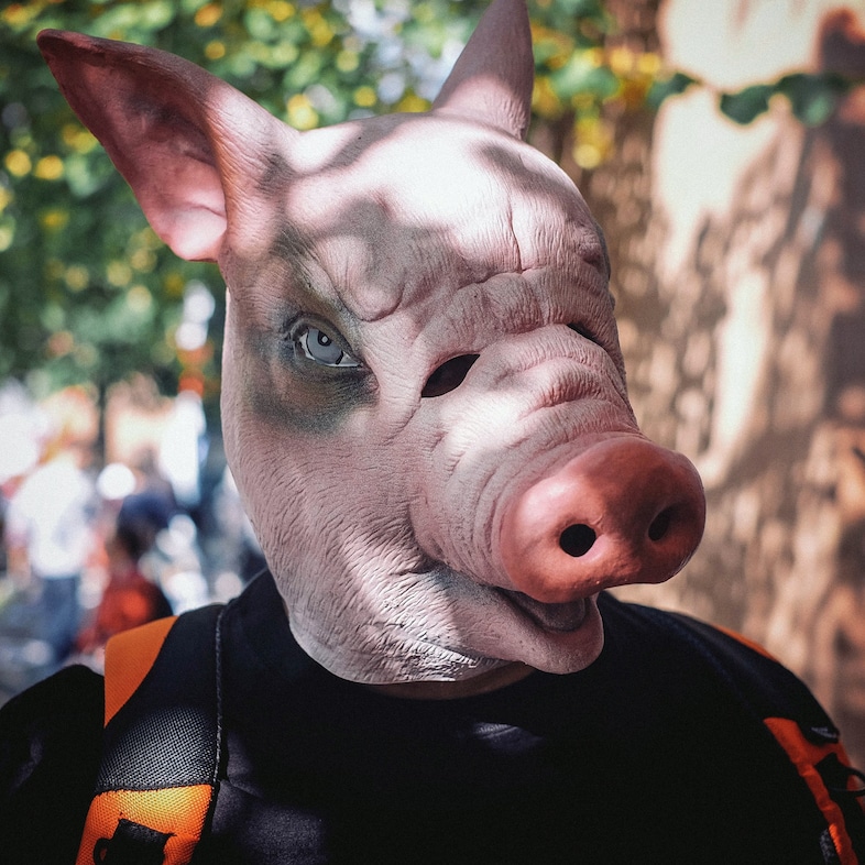 pig protest