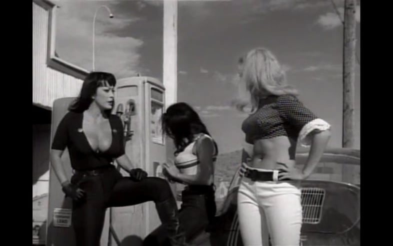 Faster Pussycat Kill Kill Cult Film