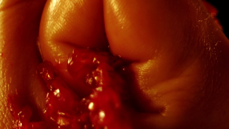 still from Juice Porn film