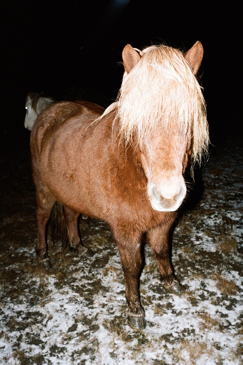 Bella Howard - Iceland
