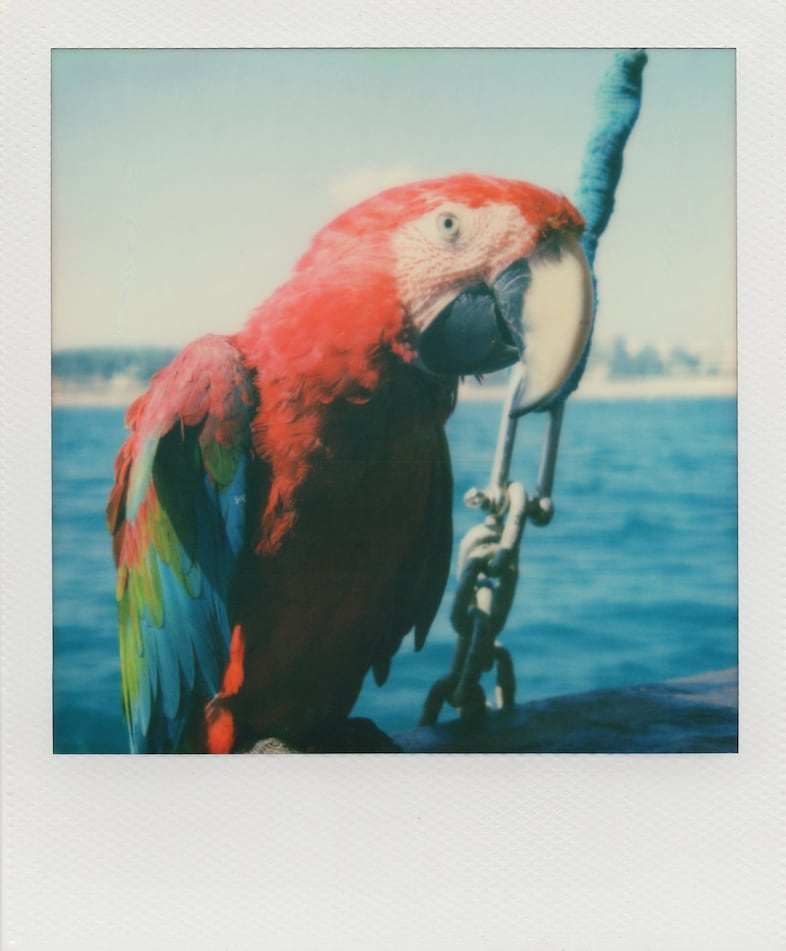 Impossible Project 11