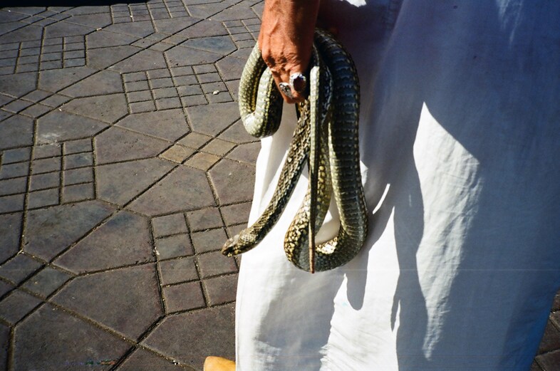 Dexter Navy - Morocco