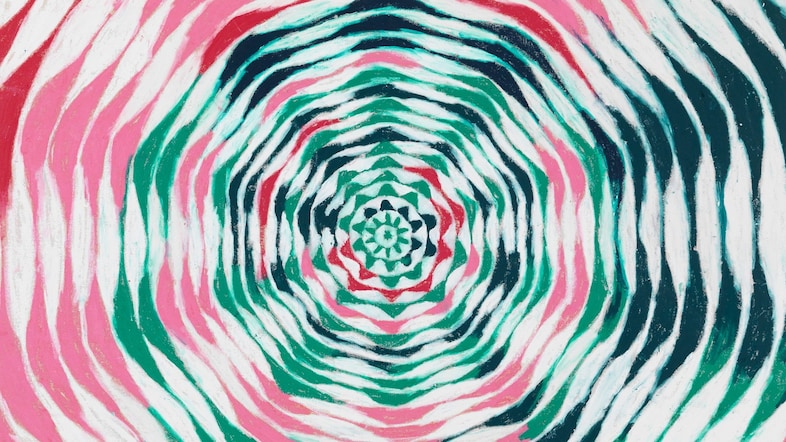 Harmony Korine art