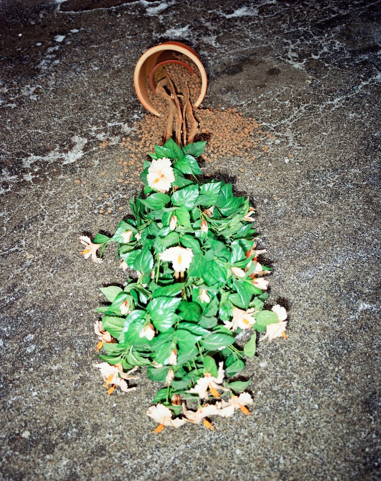 Between Colder Bones 14