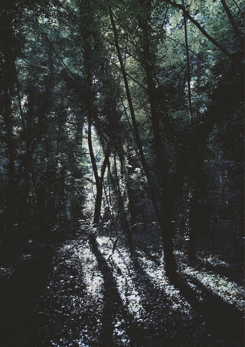 DSC_2408_A4