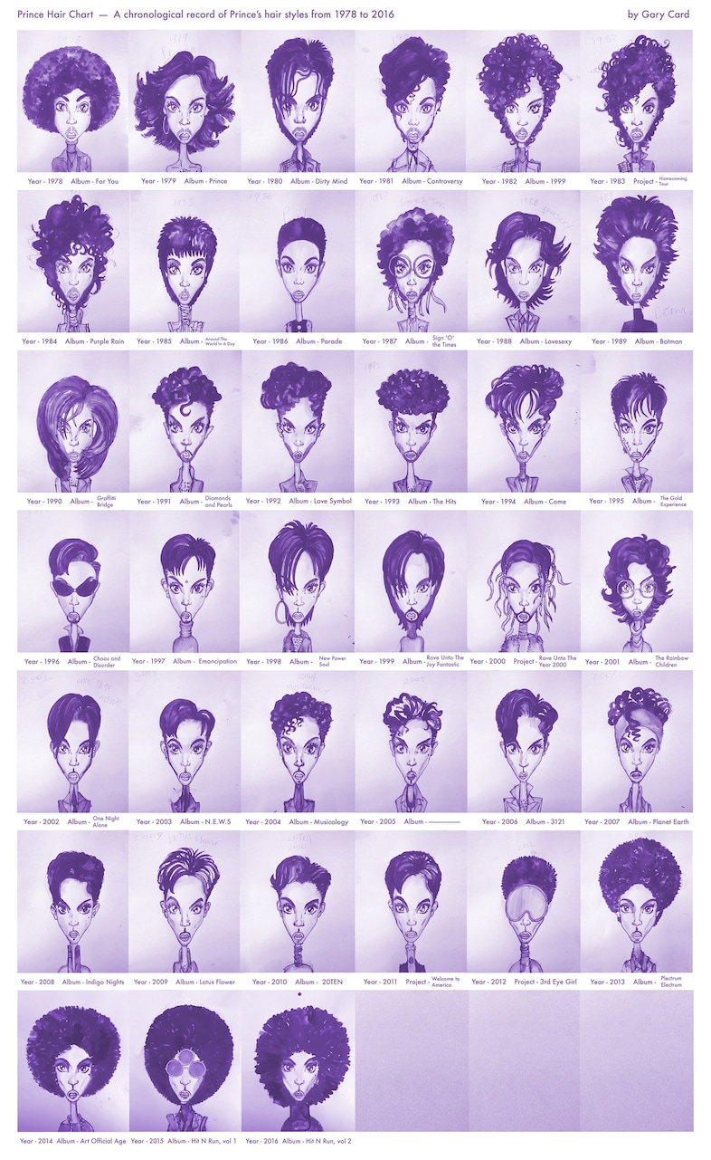 Prince Hair Chart