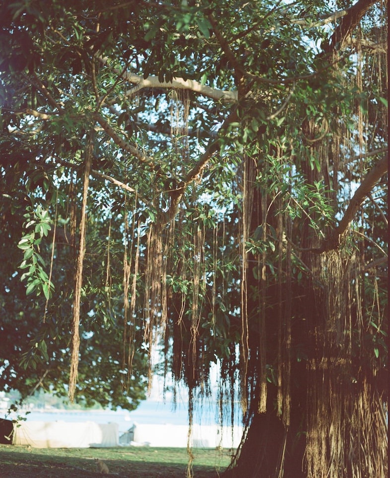 Trinity Ellis’ Puerto Rico 18
