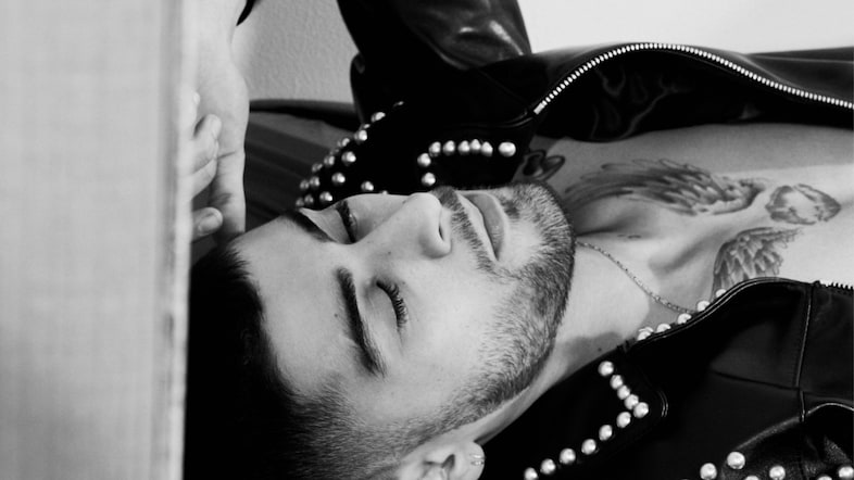 LR_ZAYN