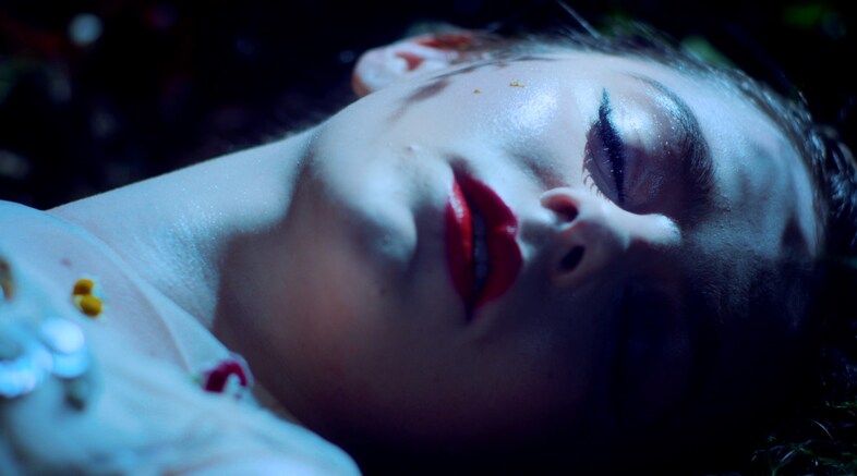 Casi - Lion video 01