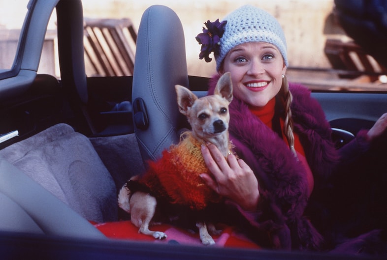 legally blonde hat