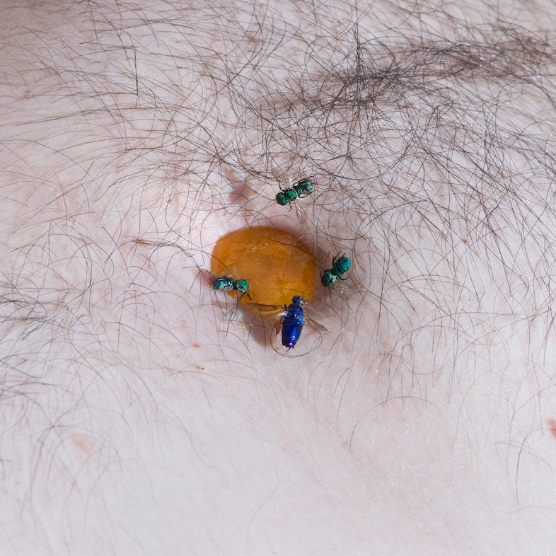 BODY HOLES by New Scenario