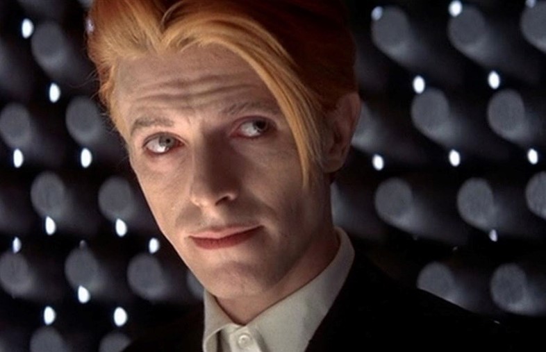 The Man Who Fell to Earth (1976)