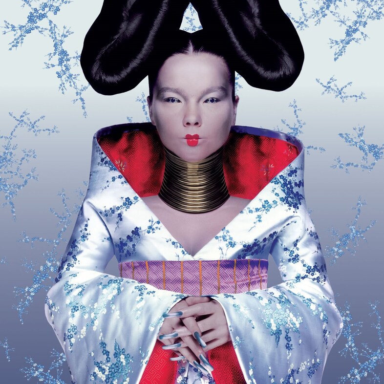 bjork homogenic