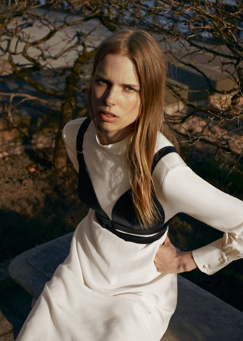 Zana Bayne &amp; Other Stories