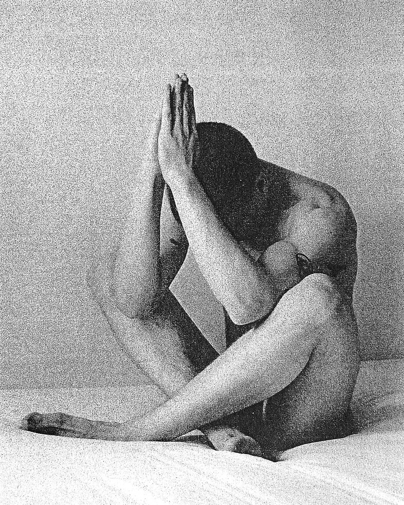 Peter De Potter’s ‘The Vanity of Certain Flowers’ 0