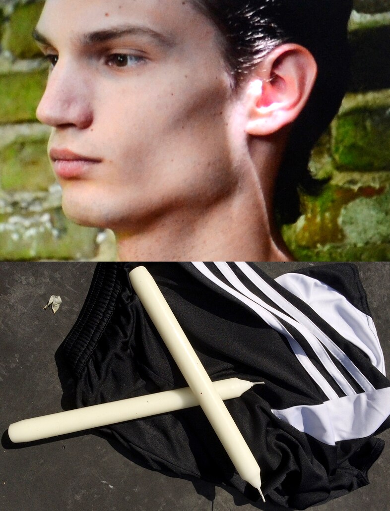 Peter De Potter’s ‘The Vanity of Certain Flowers’ 1