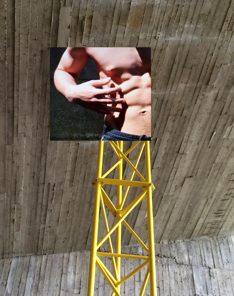 Peter De Potter’s ‘The Vanity of Certain Flowers’ 3