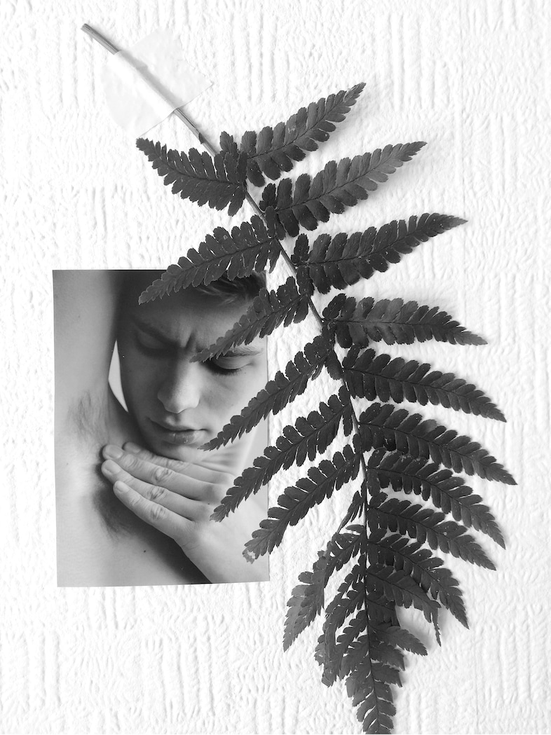 Peter De Potter’s ‘The Vanity of Certain Flowers’