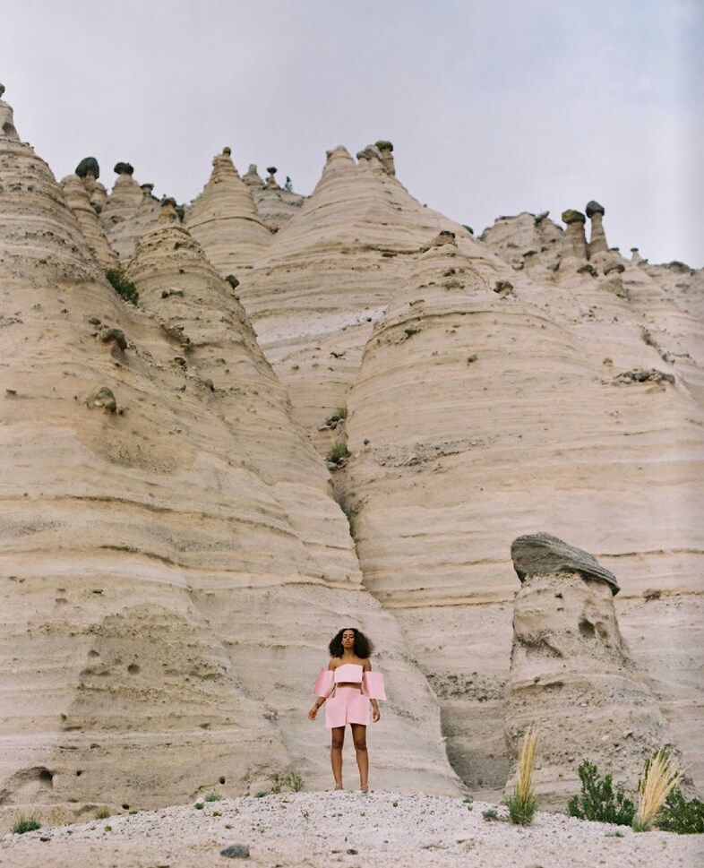 Solange Seat At The Table Book 1