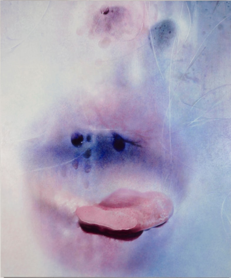 Marilyn Minter’s Pretty/Dirty 0