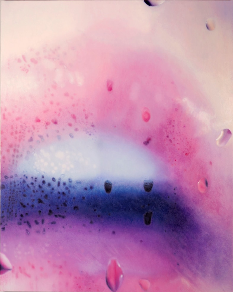 Marilyn Minter’s Pretty/Dirty 1