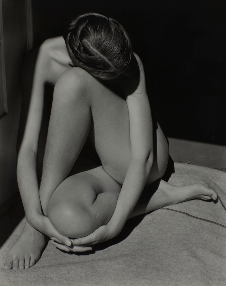 Edward Weston Nude 5