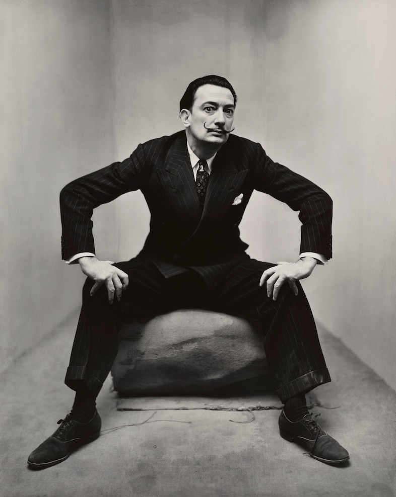 Penn Salvador Dali 15