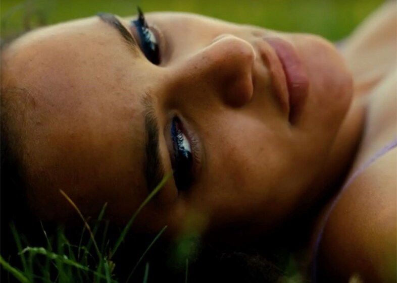 american honey via slate
