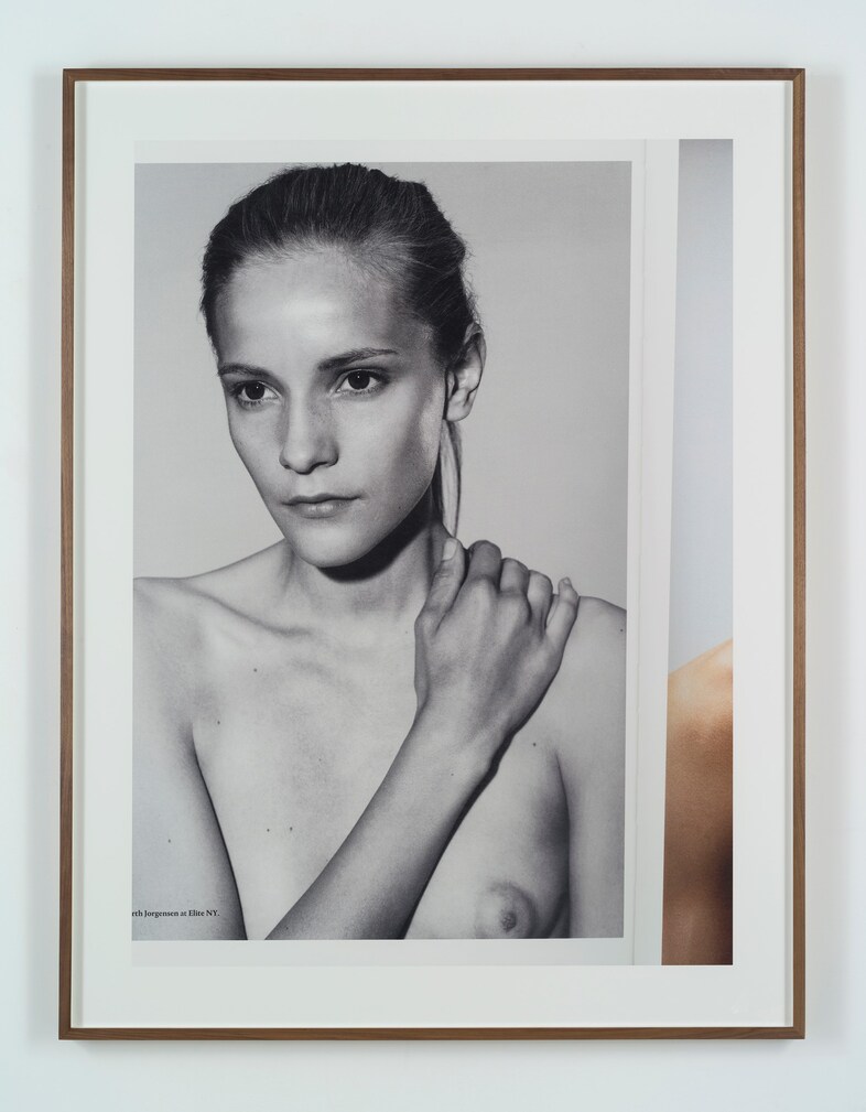 Collier Schorr, Double Take