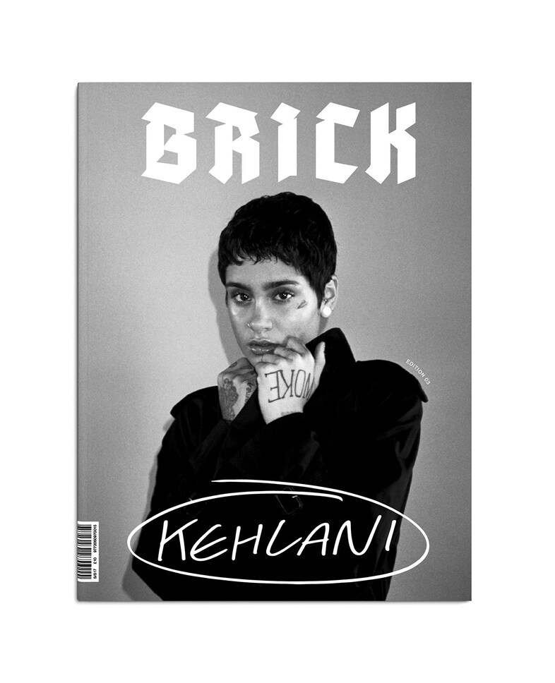 BRICK, Edition 03 13