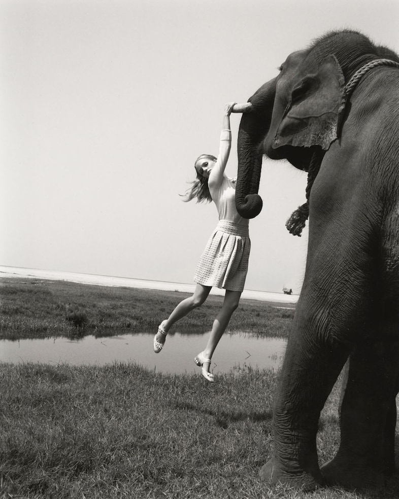 &#169; Elisabeth Toll 5