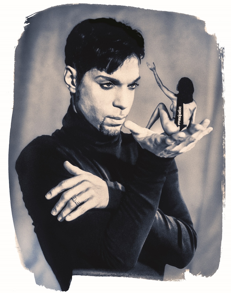Steve Parke’s Picturing Prince
