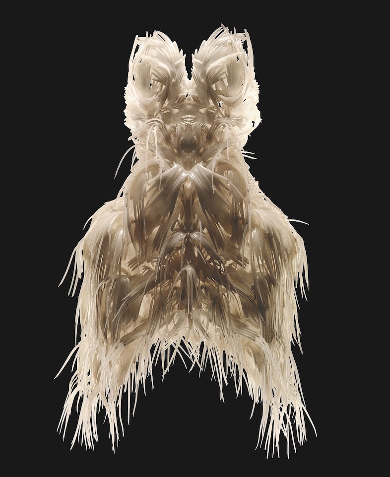 Iris van Herpen_Biopiracy. Credit B. Oomes x IVH 2