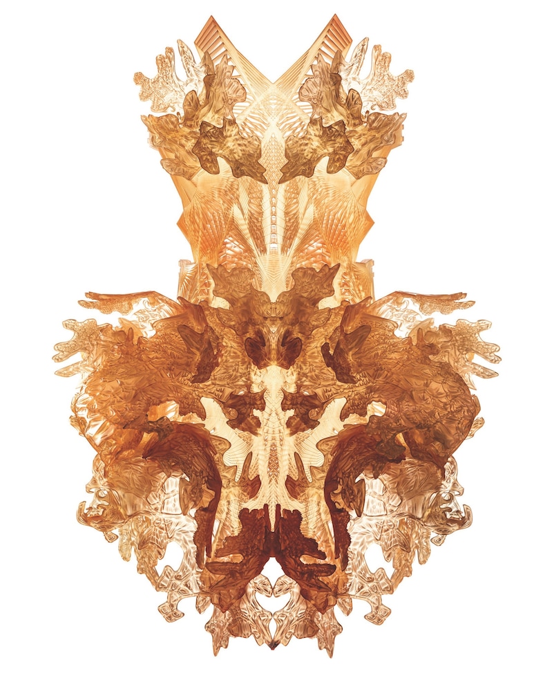 Iris van Herpen_Hybrid Holism 2015.170. Credit B. 7