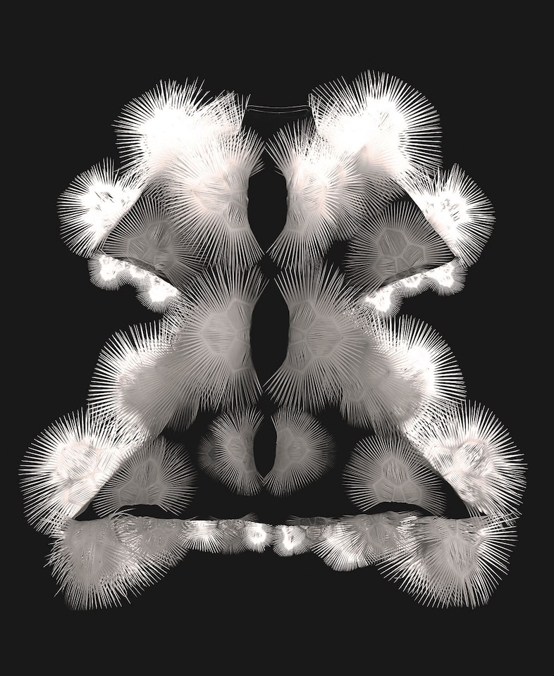 Iris van Herpen_Voltage. Credit B. Oomes x IVH 10