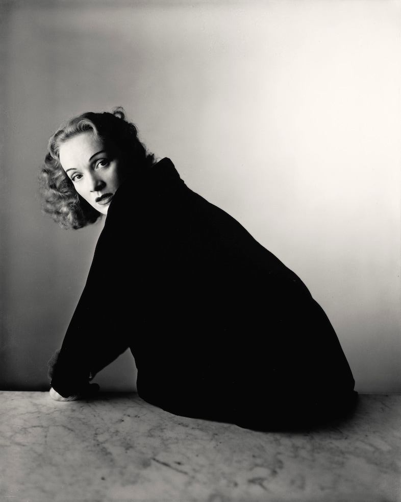 【美品】Irving Penn | CENTENNIAL Irving Penn: Centennial – Pace Shop