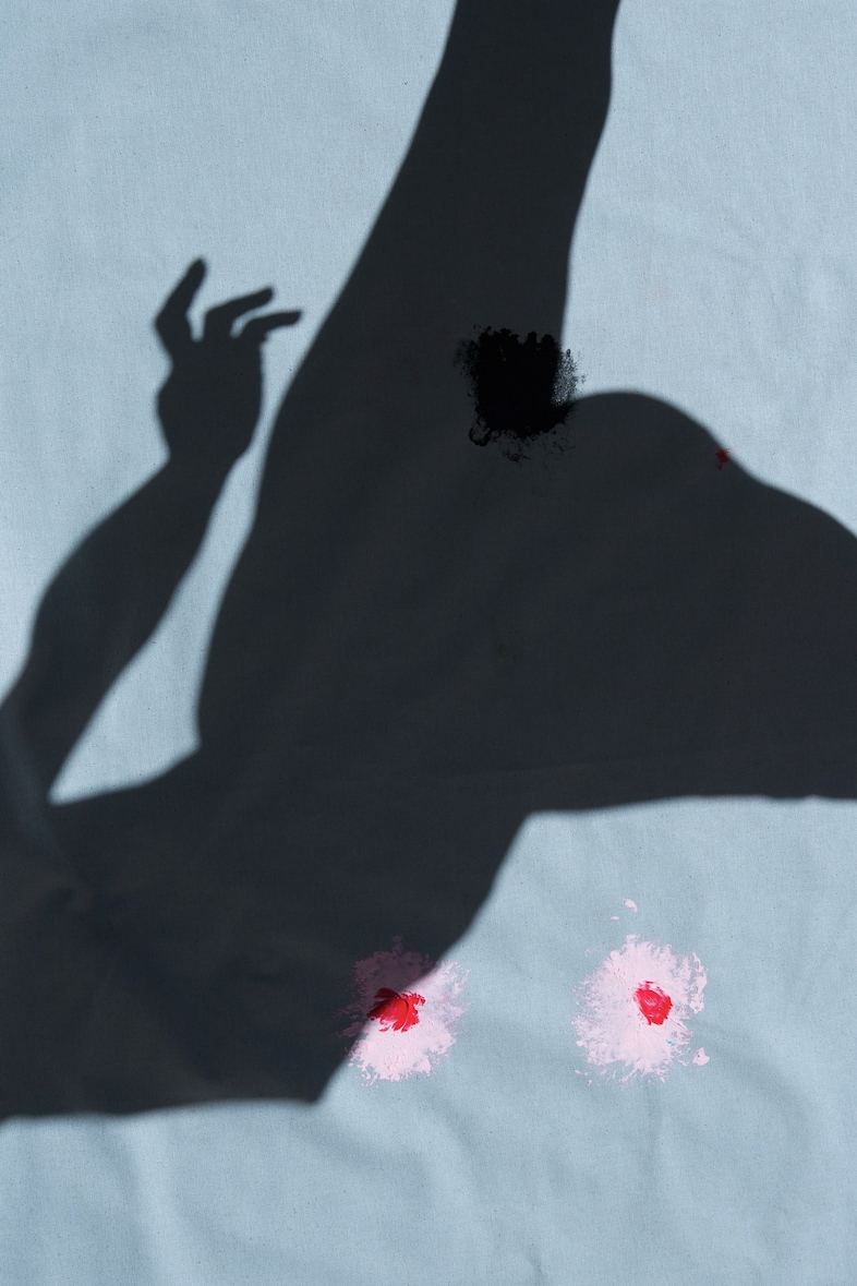 Viviane Sassen’s Roxane II