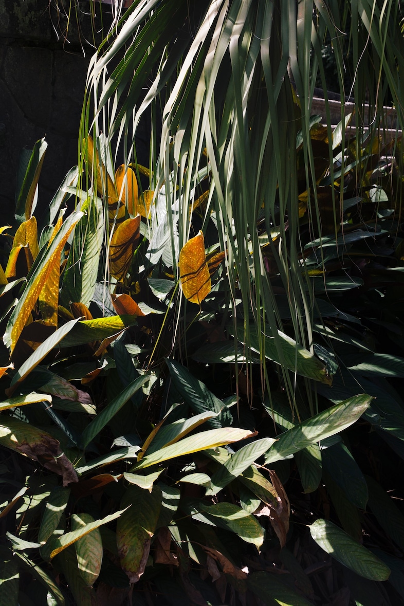 Stefanie Moshammer’s Land of Black Milk