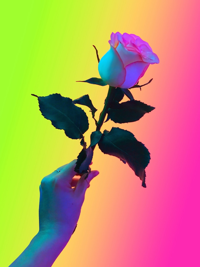 Signe Pierce’s Faux Realities