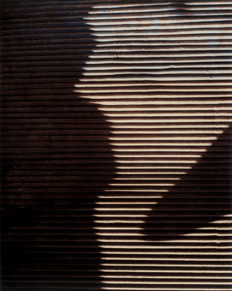 Harley Weir’s Paintings 0