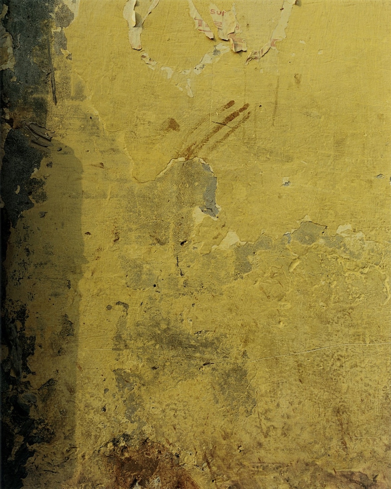 Harley Weir’s Paintings 4