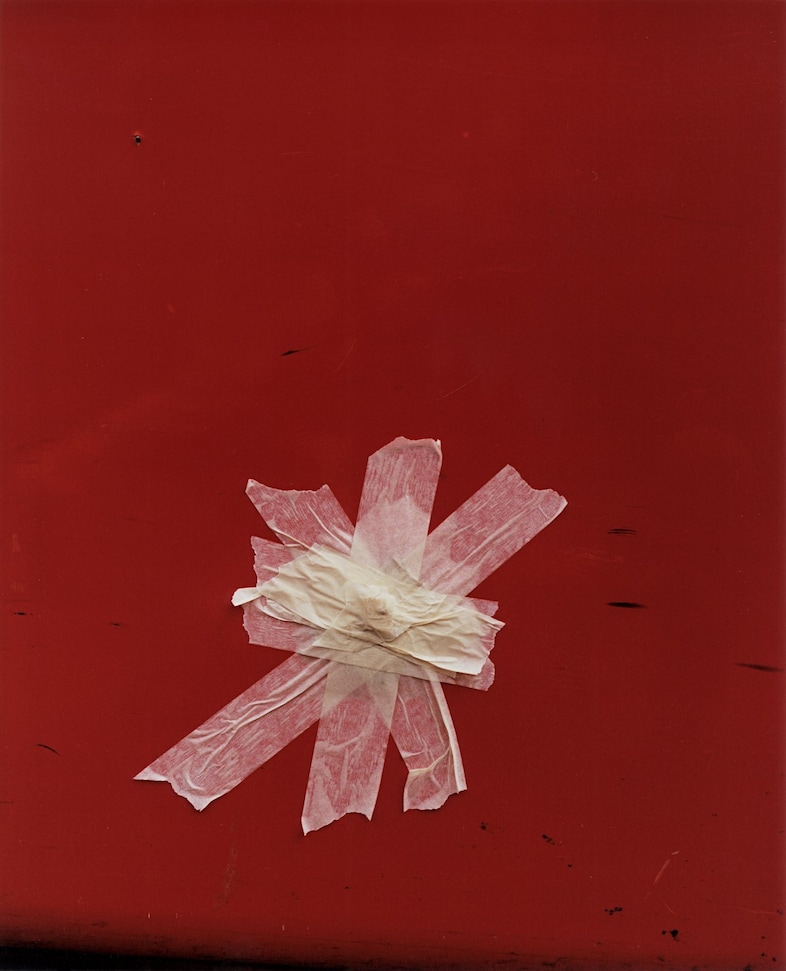 Harley Weir’s Paintings 5