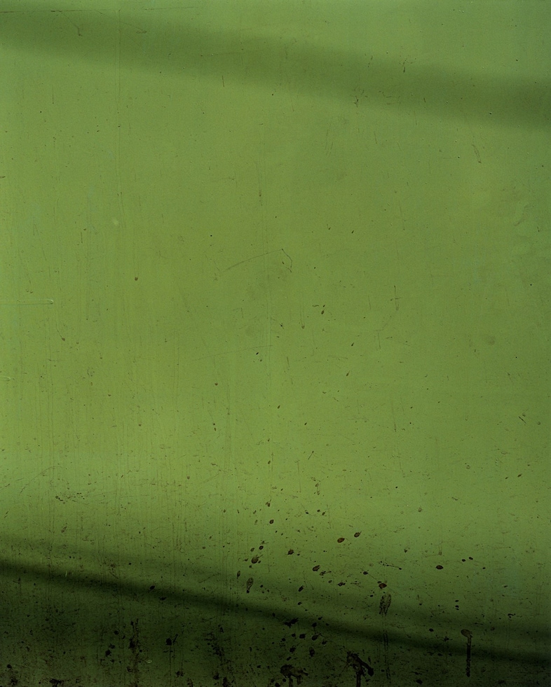 Harley Weir’s Paintings 10