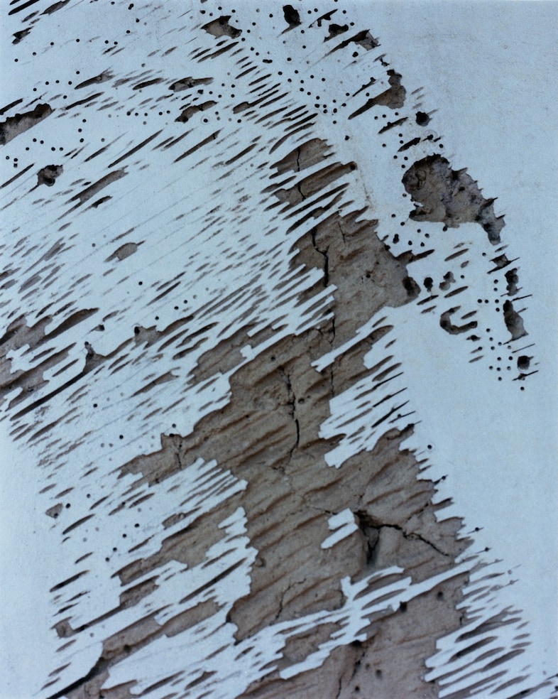 Harley Weir’s Paintings 12