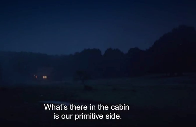 the untamed