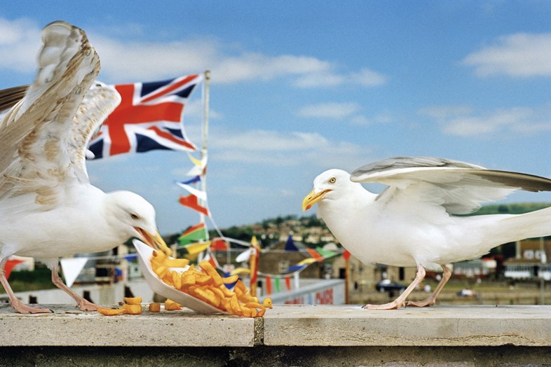 Feast for the Eyes, Martin Parr 