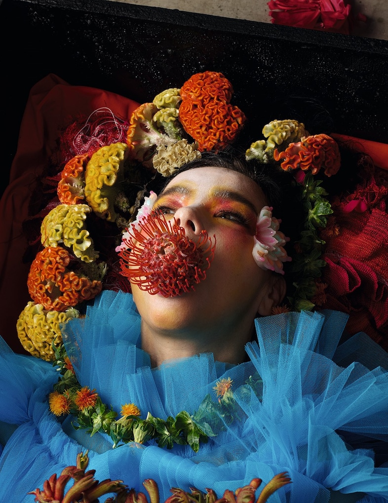 Bj&#246;rk – autumn 2017 3