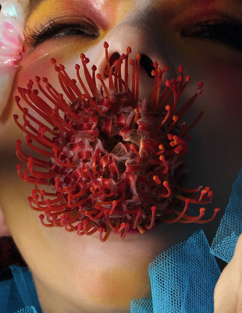 Bj&#246;rk – autumn 2017 2